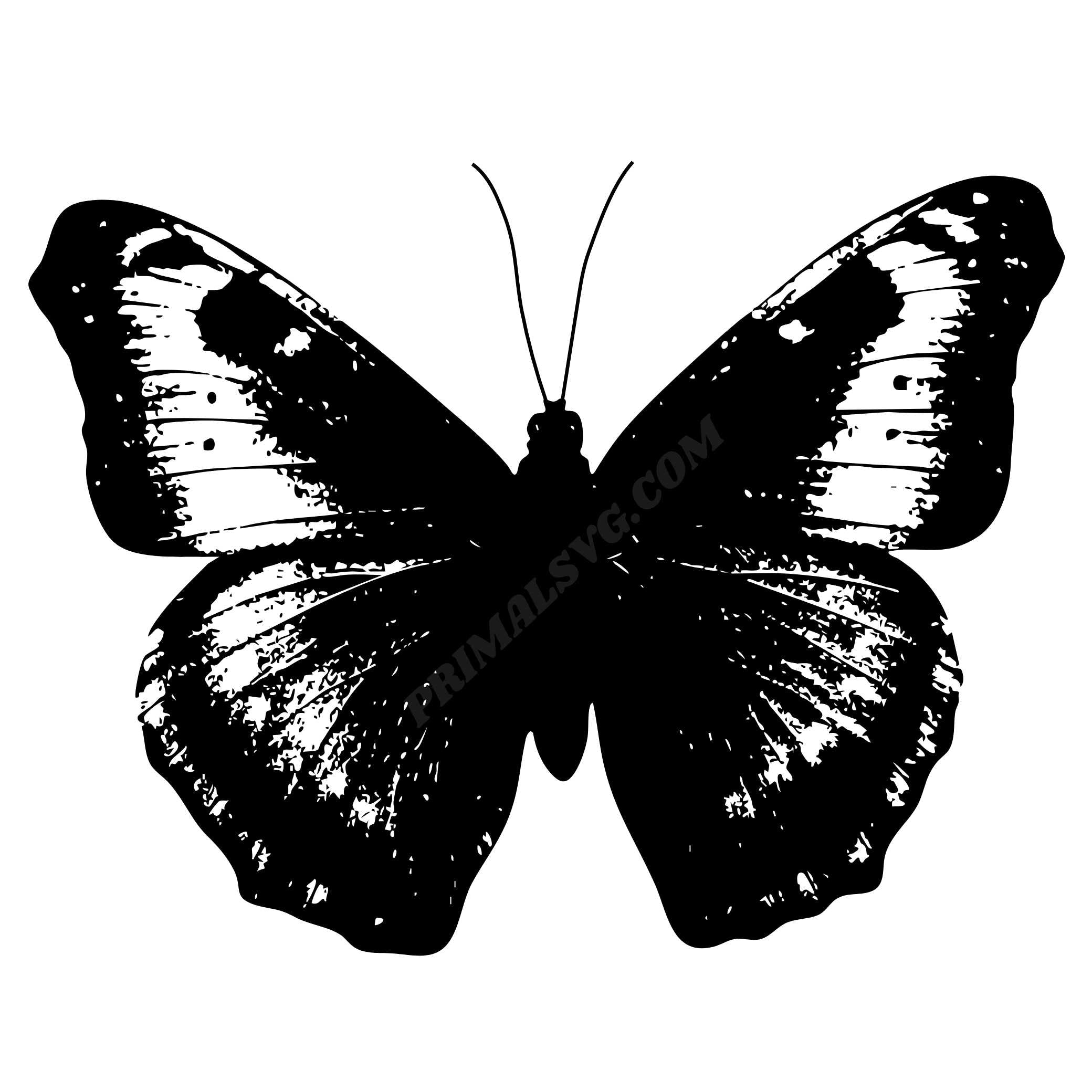 Butterfly SVG